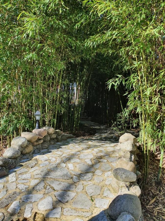 Lou Visetto A 瓦隆蓬达克 外观 照片